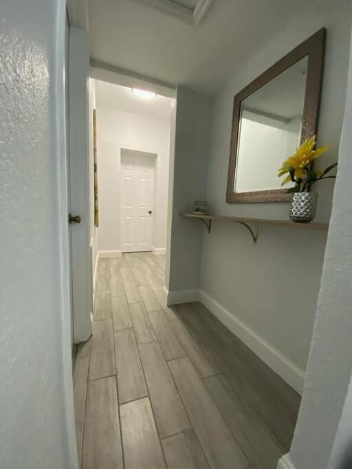 Beautiful Apartment In Tampa-A المظهر الخارجي الصورة